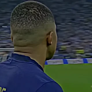 🐢
