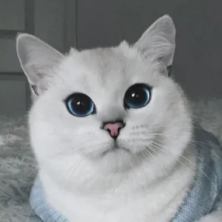💙