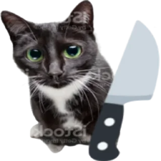 🔪