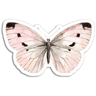 🦋