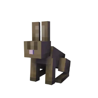 🐰