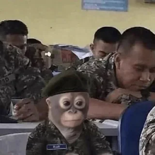 🥷