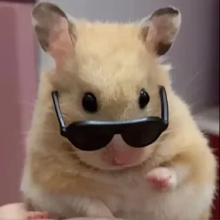 😎