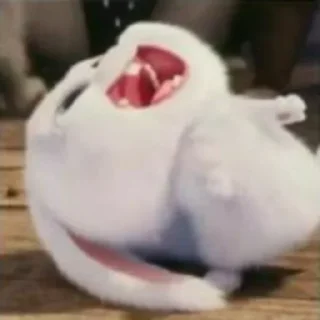 🤣