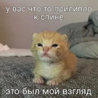 😉