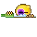 🍾