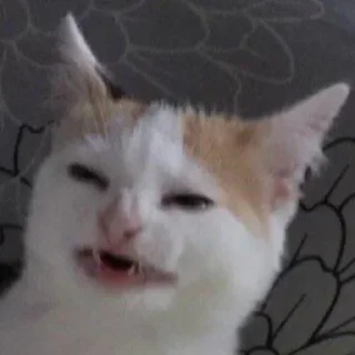 🤨