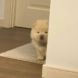 😀