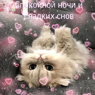 😴