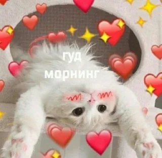 🌞
