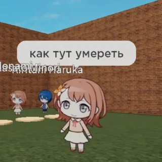 😿