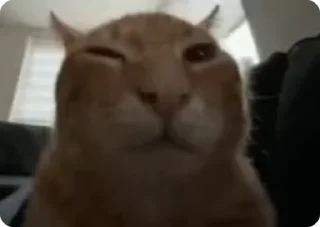 🤨