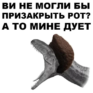 ✋️