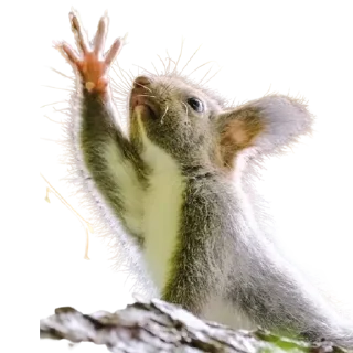 🙌