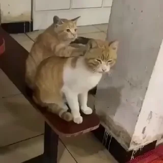 💆‍♀