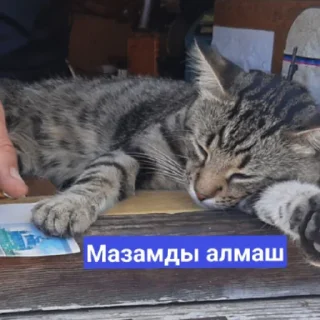 😒