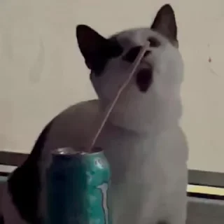🥤