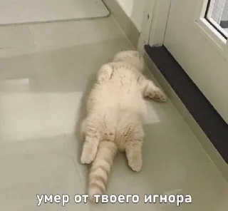 😵