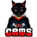 😼
