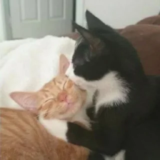 💗