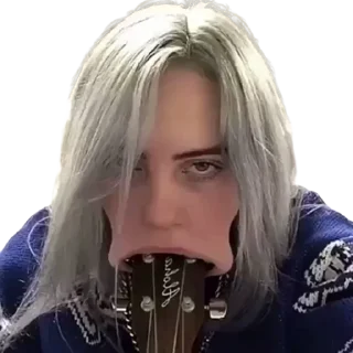 🎸