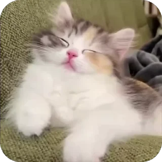 😴