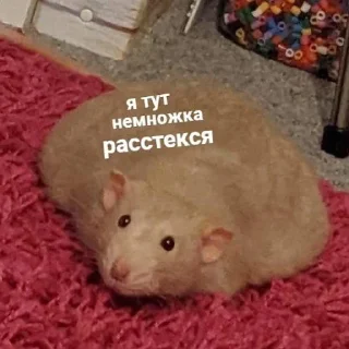 🥺