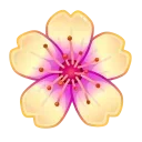 🌸