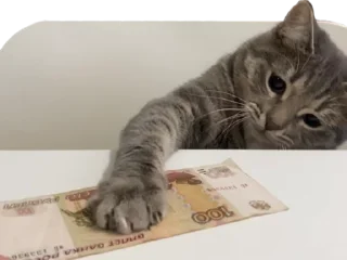 💰