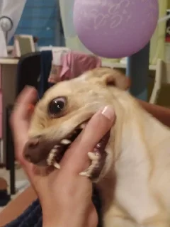 😡