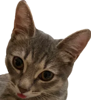 😛