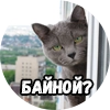Байной? by @Jumor1st