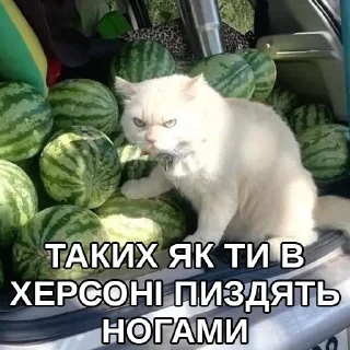 😡