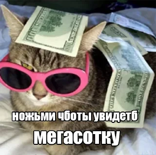 😎