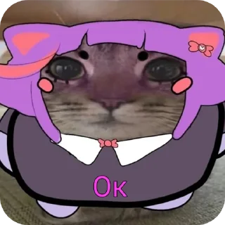 🐱