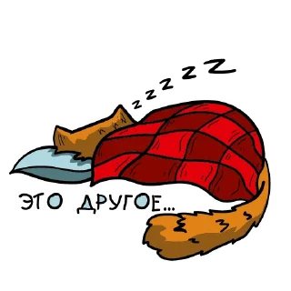 😴