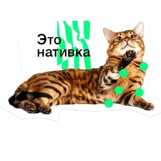 😮