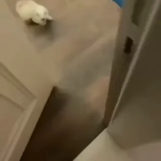 😳