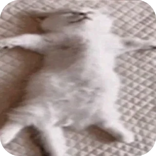 🤲