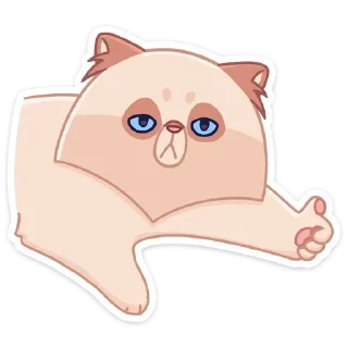 👍