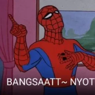 🕸