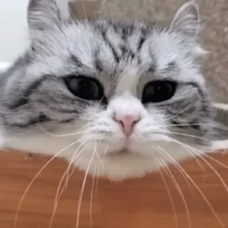 🥱