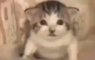 💥
