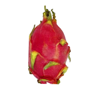 Dragon fruit