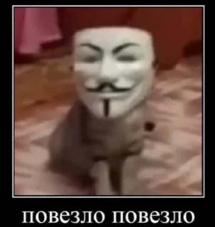😎