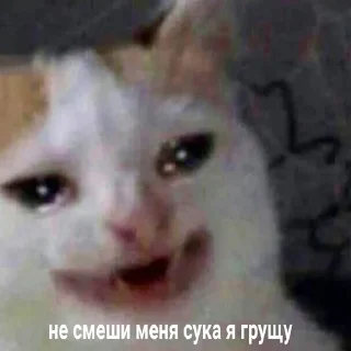 😢
