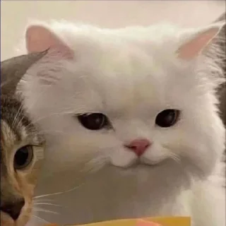 ☺️