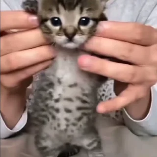 🥳