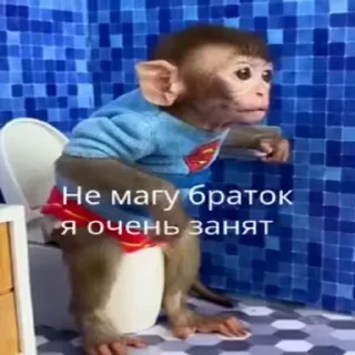 🐵
