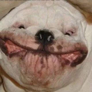 😂